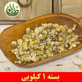 تصویر بابونه گل درشت اعلا ظرافت 1 کیلویی 