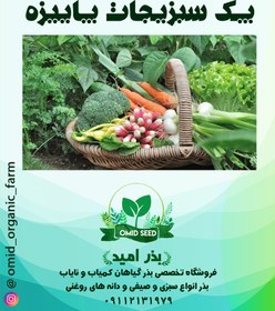 تصویر پک سبزیجات پاییزه 