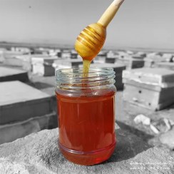 تصویر عسل کنار صاف شده - ارگانیک - وزن-خالص: 500 گـــــرمی + ضمانت اصالت 