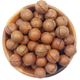 تصویر فندق ماکادمیا 