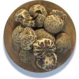 تصویر قارچ شیتاکه ۱۰۰ گرمی 