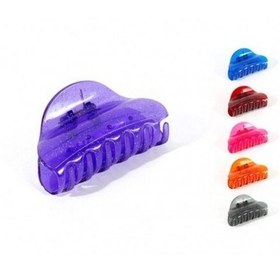 تصویر کلیپس کریستالی اکلیلی 