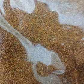 تصویر خاکشیر ۱۰۰ گرم 