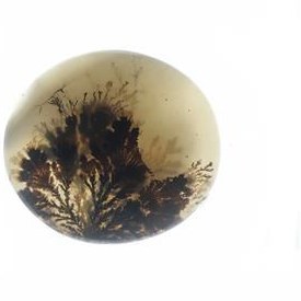 تصویر سنگ شجر هندی 