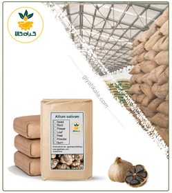 تصویر سیر سیاه خشک فله 