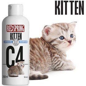 تصویر شامپو بچه گربه رد اسپرینگ مدل کیتن حجم 250 میلی لیتر RED SPRING kitten special shampoo 250ml