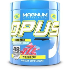 تصویر پمپ مگنوم 