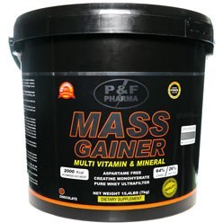 تصویر پودر مس گینر شکلاتی پی اند اف فارما Mass Gainer P And F Pharma