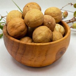 تصویر لیمو عمانی جهرم 