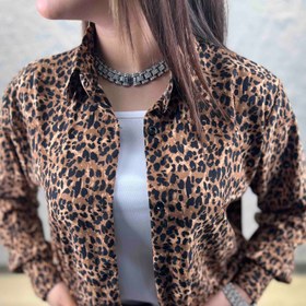 تصویر پلنگی کد ٣٣٢ 