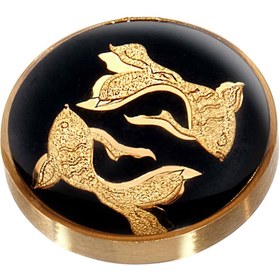 تصویر بج سینه اسفند 