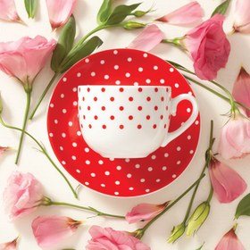 تصویر سرویس چینی زرین 6 نفره چای خوری اسپاتی قرمز (12 پارچه) ا Zarin Iran ItaliaF Spotty-red 12 Pieces Porcelain Tea Set Zarin Iran ItaliaF Spotty-red 12 Pieces Porcelain Tea Set