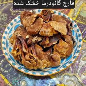 تصویر قارچ گانودرما لوسیدوم 100 گرم 