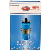 تصویر کوئل روغنی پراید کاربرات AMT 