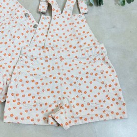 تصویر بیلر Q38 