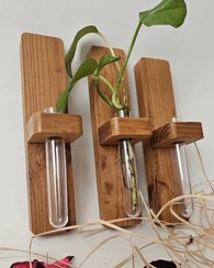 تصویر گلدان هیدروپونیک دیواری 