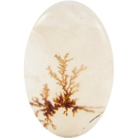 تصویر سنگ شجر کد 3047 