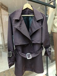 تصویر بارونی داخل استر - بادمجونی 