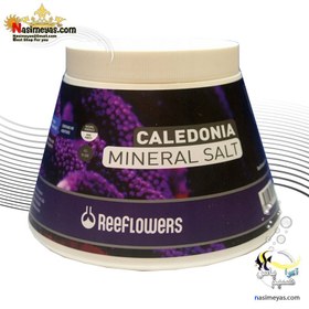 تصویر نمک معدنی رشد مرجان کالدونیا مینرال سالت ریف لاورز Reeflowers Minerals gH+