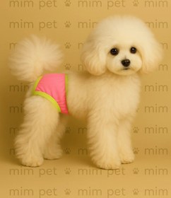 تصویر شورت سگ و حیوانات 