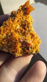 تصویر ولفونیت نارنجی 