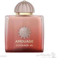 تصویر عطر یونیسکس آمواج مدل گایدنس46 AMOUAGE GUIDANCE46