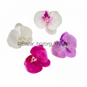 تصویر سرگل ارکیده 10 سانتی تکی 