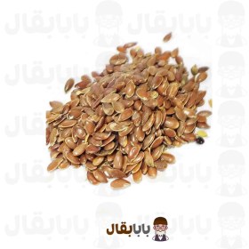 تصویر تخم کتان پرنده 