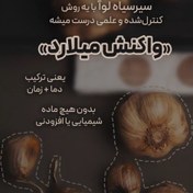 تصویر سیرسیاه فله یک کیلویی درجه یک و ارگانیک 