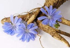 تصویر فروشگاه عطارخوب