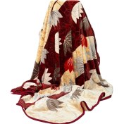 تصویر پتو مسافرتی دونفره ترولاو 