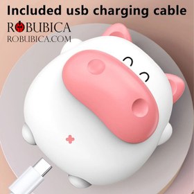 تصویر هندوارمر (بخاری جیبی) 