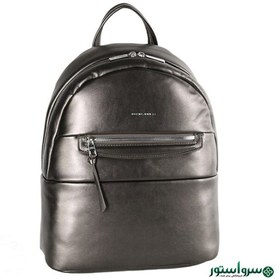 تصویر کوله DAVID JONES-سیلور6861 