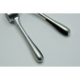 تصویر سیر له کن شنگیا کد 2482 - طلایی 