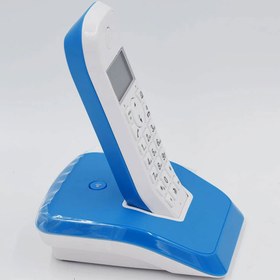 تصویر تلفن بی سیم موتورولا مدل S1001 ا S1001 S1001