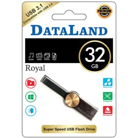 تصویر فلش مموری USB 2.0 دیتالند مدل royal ظرفیت 32 گیگابایت باگارانتی مادام العمر 