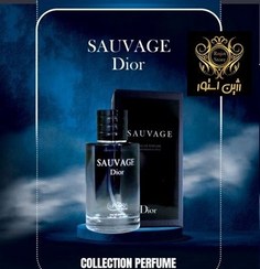 تصویر ادکلن مردانه دیور ساواج حجم ۱۰۰ میل 