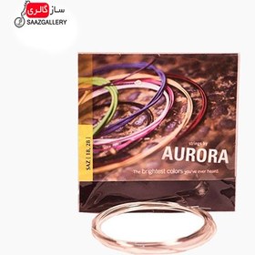 تصویر سیم دیوان آوررا 