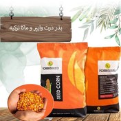 تصویر بذر ذرت ماکا ترکیه 