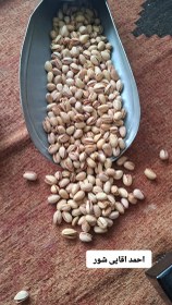 تصویر پسته شور رفسنجان 