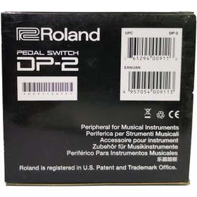 تصویر پدال ساستین ROLAND DP-2 