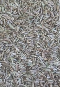 تصویر زیره سبز اعلا 