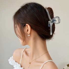 تصویر کلیپس وارداتی پروانه آبی 