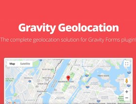 خرید و قیمت دانلود افزونه وردپرس Gravity Geolocation برای گرویتی فرم | ترب