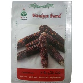 تصویر بذر ذرت رنگی 90% وانیا سید کد z32 