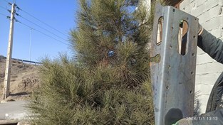 تصویر پایه جک کلنتینر 