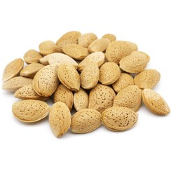 تصویر بادام پوست سنگی درشت 