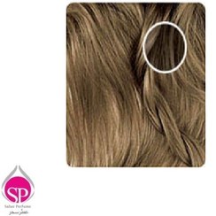 تصویر کیت رنگ ابرو بلوند دودی روشن بیول -6.1 (A6) 