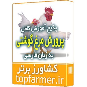 تصویر جامع ترین و کامل ترین آموزش پرورش مرغ گوشتی 