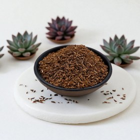 تصویر زیره سیاه 